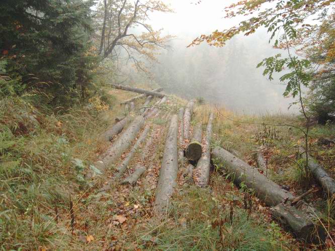 Beschreibung: Beschreibung: Beschreibung: Beschreibung: Beschreibung: Beschreibung: Beschreibung: Beschreibung: Beschreibung: Beschreibung: Beschreibung: C:\hpneu\loite1.jpg